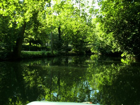 Le beau reflet des arbres dans l'eau